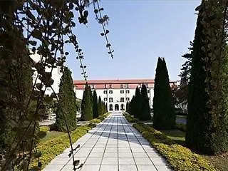 - Sava & Hotel