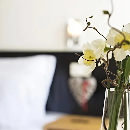 - Sava & Hotel